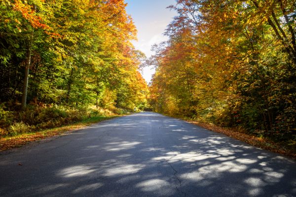 Cost of Blacktop Replacement in Turlock